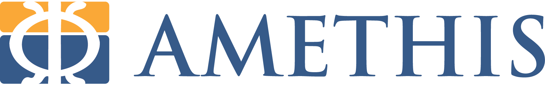 michellin company logo