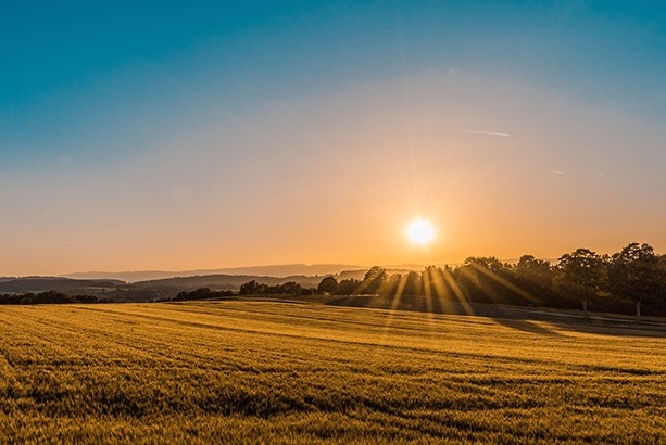 Our Values, Our Commitment​ 6 values that drive us in service of your international success​