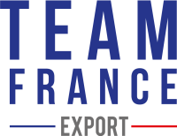 Logo Team France Export (TFE)